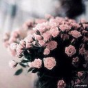 Loolə∙∙❥ (@080Lole) Twitter