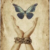 parnian7rang (@parnian7rang) 's Twitter Profile