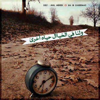 ‏‏الابداع ليس بعدد المتابعين وكثرتهم ، الابداع كيف تنحت اسمك ومحبتك وكلماتك ولو على قلب متابع واحد. هذا هو الابداع ♡