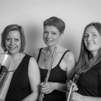 EchoChamberEnsemble (@echochamberens) 's Twitter Profile