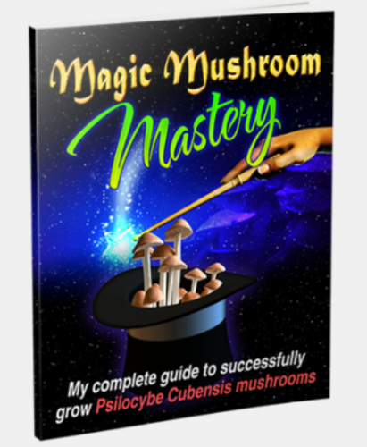 Joe Palmeri have spent years perfecting the growing process and now you can benefit from all his hard work and easily learn how to grow magic mushrooms.