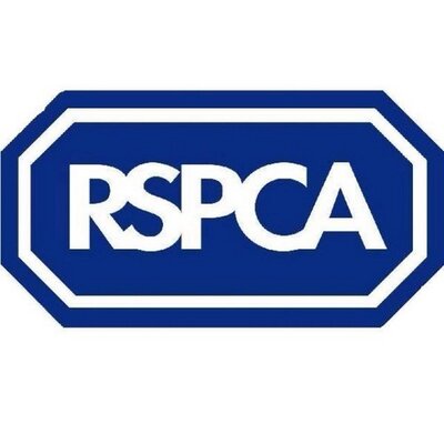 Profile Picture of RSPCA CROYDON BRANCH (@RSPCACCP) on Twitter