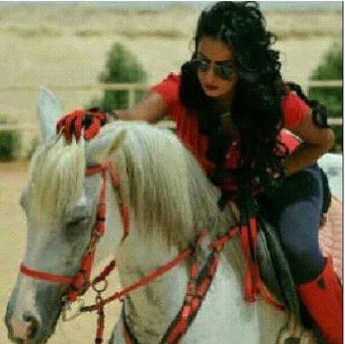 ‏‏أتـيـت لتـوويـتر لأقـضـي أوقـآت فـرآغي / أنـشـر الـتـغـريـدآت الـتي تنـآسبـنـي // فـوولـو مـي فـولوو بــآآكـ 
        آلخآص ـ ممنوع                        ksa