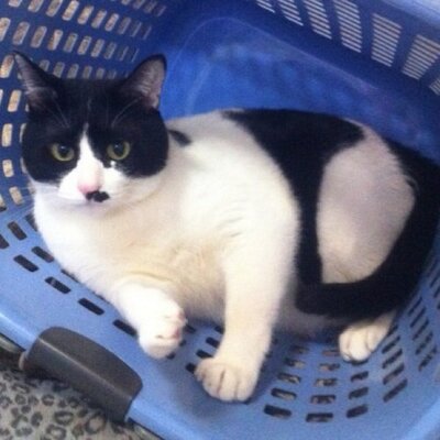 ゆうちん