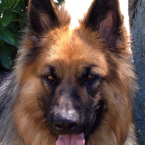 jmfarreras's profile picture. Las actitudes son mas importantes que las aptitudes