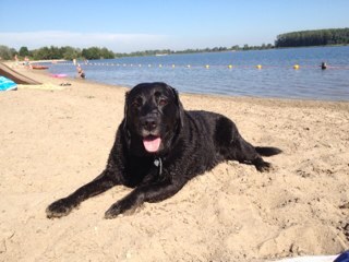 Aimee_M_Ott's profile picture. 