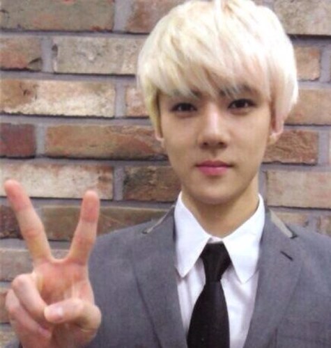 ผมโอเซฮุน (오세훈) มักเน่จาก Exo ครับ ~  ผมชอบกินชานมไข่มุกรสช็อกโกแลตมากครับ .. 1/08/12.   #SMFAM