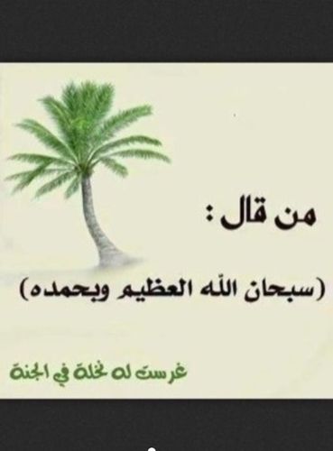 ‏حساب مختص لتسبيح الله سبحانه وتعالى يرسل التسبيح كل بضع ساعات فقط