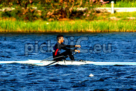 ROW HARD NO EXCUSES!!!