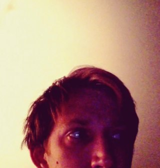 triceaudio's profile picture. 