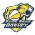Sainte Savine Basket (@ssb_basket) Twitter profile photo