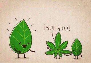 Le dare follow a todo el mundo!! Esa es mi meta! Ah cierto aqui me desahogo asi que se aguantan!