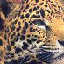 Liberty Middle (@libertyjaguars) Twitter profile photo Liberty Middle (@libertyjaguars) Twitter profile photo