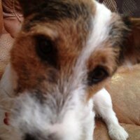 simon barrett (@simonbarrett20) 's Twitter Profile