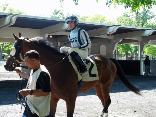 CFC Stables - Enjoy the thrills of race horse ownership, without the normal high costs associated with being an owner. Contact us at cfcstables@gmail.com