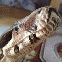 Matthew Lore - @mattfix80 - Twitter