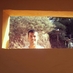 Mr.Galletas (@animo_pollitos) Twitter profile photo
