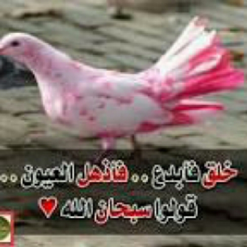 🕊️I lost my heart when I lost my mom 🕊️