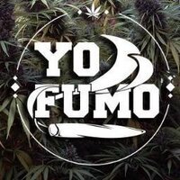 #YoFumo(@YoFumo1) 's Twitter Profile Photo