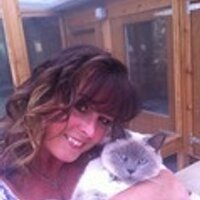 Karen Tennents girl 🏴 💙 (@karen_flynn) 's Twitter Profile Photo Karen Tennents girl 🏴 💙 (@karen_flynn) 's Twitter Profile Photo