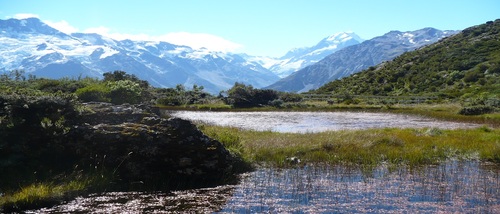 RedtarnPR's profile picture. Andy Rea: founder of Redtarn PR & Events, 2000trees Festival, BIMM lecturer and journalist - a lively splash of creativity with absolutely no celery