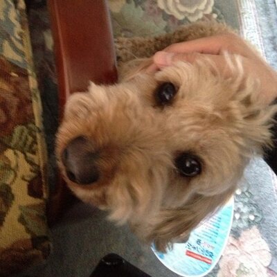 青木 潤圭 Spider Twitter 青木 潤圭 Spider Twitter