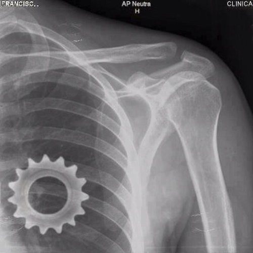 LughiM's profile picture. 