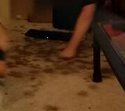 TheMurderStain's profile picture. The joys of home ownership!