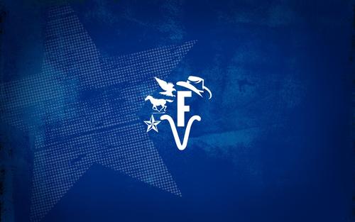 fiafalv's profile picture. 