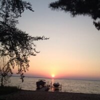 Laurie McCarty (@mccarty_laurie) 's Twitter Profile