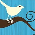 KorbinEaly's profile picture. Любое решение, которое кажется очевидным и разумным, всегда полезно поставить под сомнение.