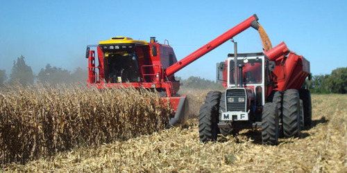 OFERTAS AGRO-NOMAS Y GANADERAS. CAMPOS EN VENTA, ANIMALES Y CEREALES.