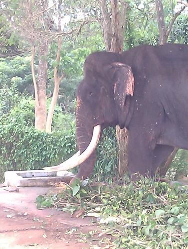 kevb195's profile picture. 