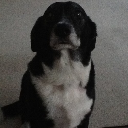 loads of kids, wife, dog, still 21 inside, non smoker, GSH, and poor :-(
