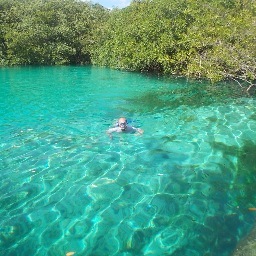 guenaflex's profile picture. 