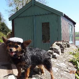 Creator of Dylan Thomas birthday walk