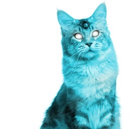 pictures of cats photoshoped to look like comic book heroes and villains