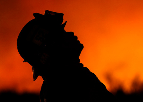 bmfabioleal's profile picture. SIGO DE VOLTA!