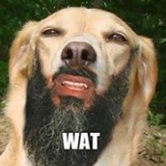 lion_hummel's profile picture. 