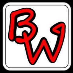 BW cricket is a small cricket brand based in New Zealand. If you are after quality gear at low prices contact me. My email addres is bwcricket@outlook.com