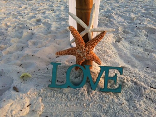 Simple, beautiful beach weddings, affordable, all you need to bring is the love and we will do the rest!