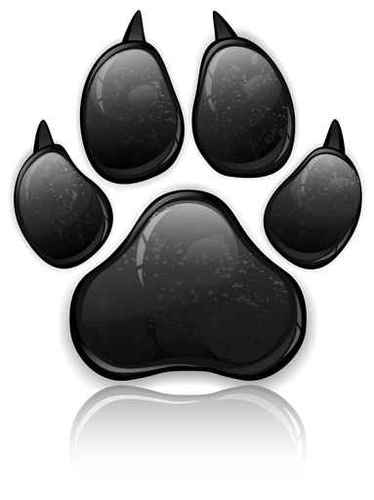 Pet care services, Dog walking, Cat care, Small pet care, Sheffield