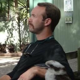 jeffhortman's profile picture. Birdwatcher