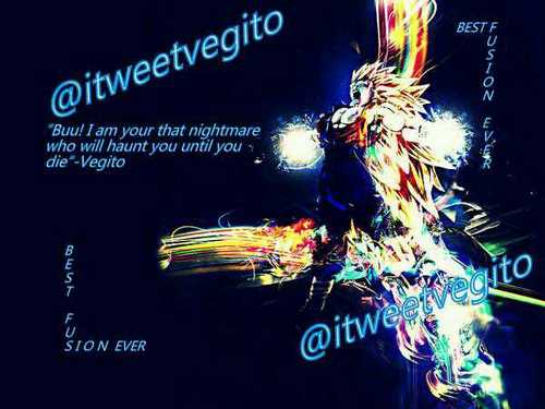 I am the fusion of @ITweetVegeta and @ITweetGoku. I am the most powerfull fusion. I will defeat all who dares to challenge me.                     *DBZRP*