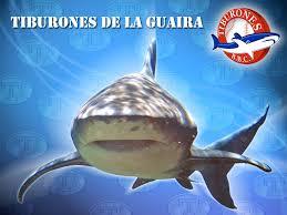 kenethyp's profile picture. 