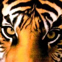 ESHS Track & Field (@eshs_track) 's Twitter Profile Photo ESHS Track & Field (@eshs_track) 's Twitter Profile Photo