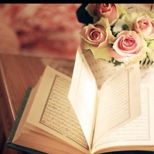 اللهم كما جعلت القرآن رفيقي في الدنيا اجعله انيسي في قبري