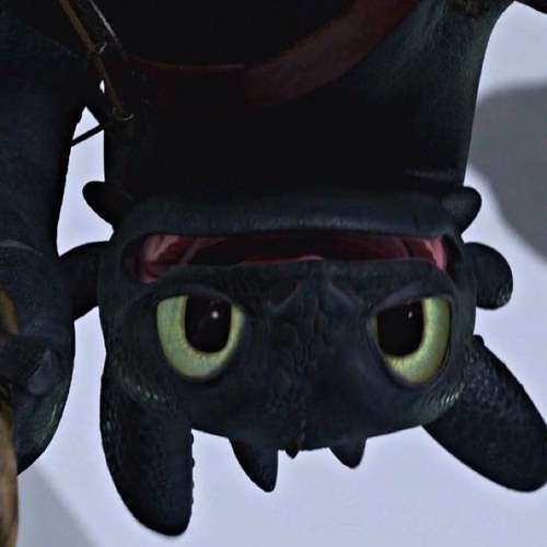 *Jumps on you and licks your face, wagging my tail* 
((HTTYD RP))