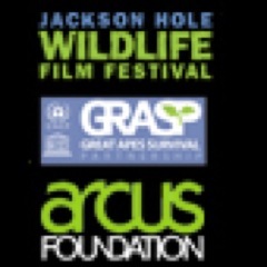 The Great Apes Summit is a joint initiative of the Jackson Hole Wildlife Film Festival, the Great Apes Survival Partnership (GRASP), and the Arcus Foundation.