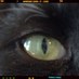 PSquiggly (@psquiggly) Twitter profile photo PSquiggly (@psquiggly) Twitter profile photo